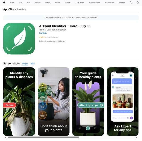 Lily AI Plant Identifier